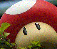 Avatar do usuário